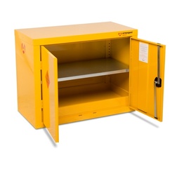 Hfc1 Safestor Hazardous Cupboard 900 X 465 X 700 (1 Shelf)